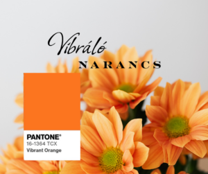 Vibráló narancs és sárga esküvői Pantone színpaletta 2026.